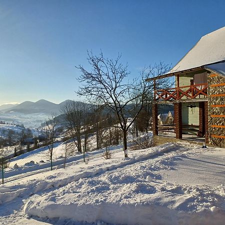 Green House Panorama Karpat ヴォロサンカ エクステリア 写真