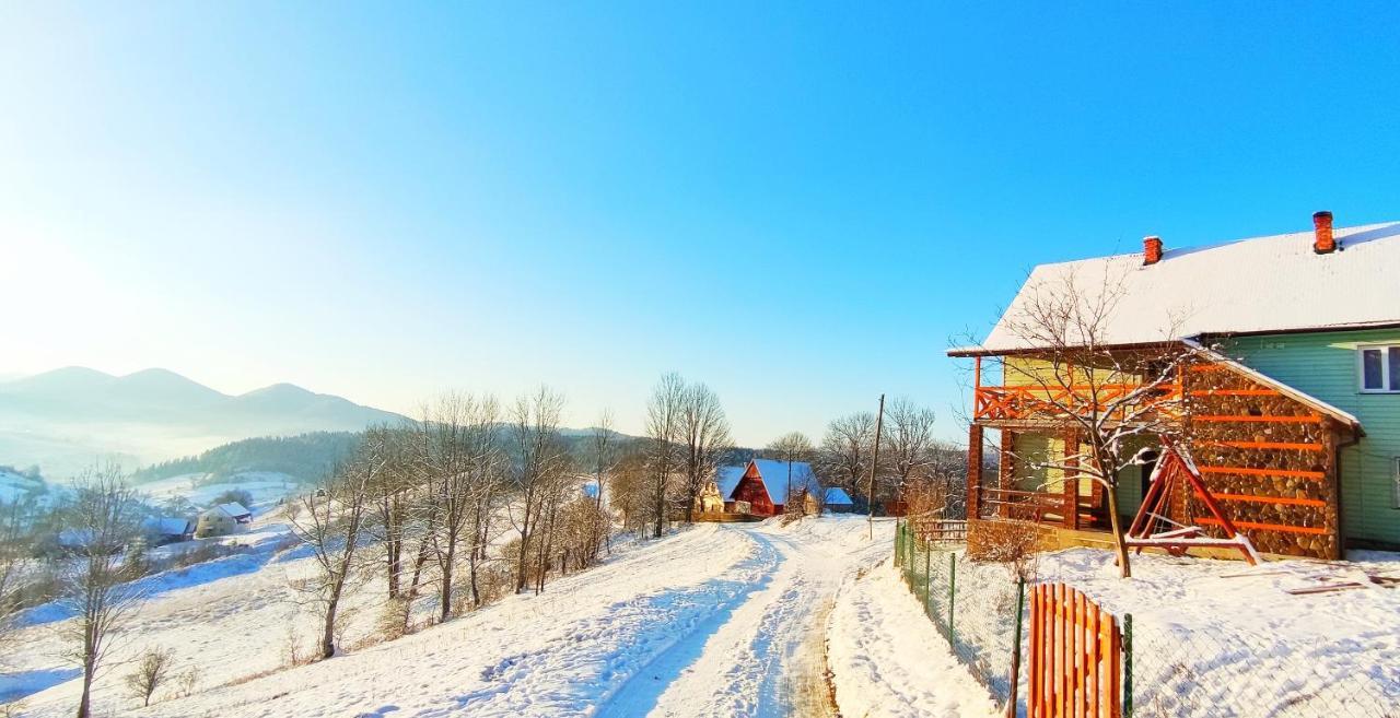 Green House Panorama Karpat ヴォロサンカ エクステリア 写真