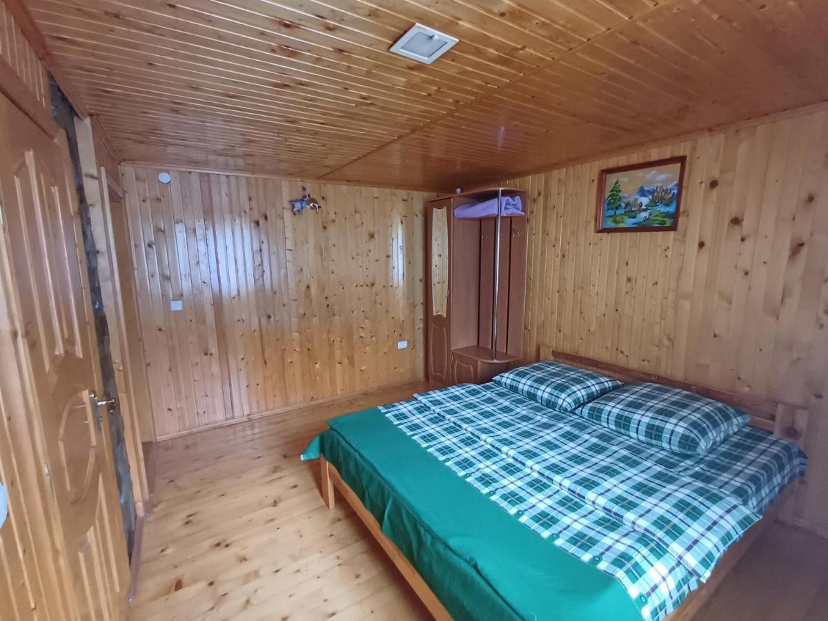 Green House Panorama Karpat ヴォロサンカ エクステリア 写真