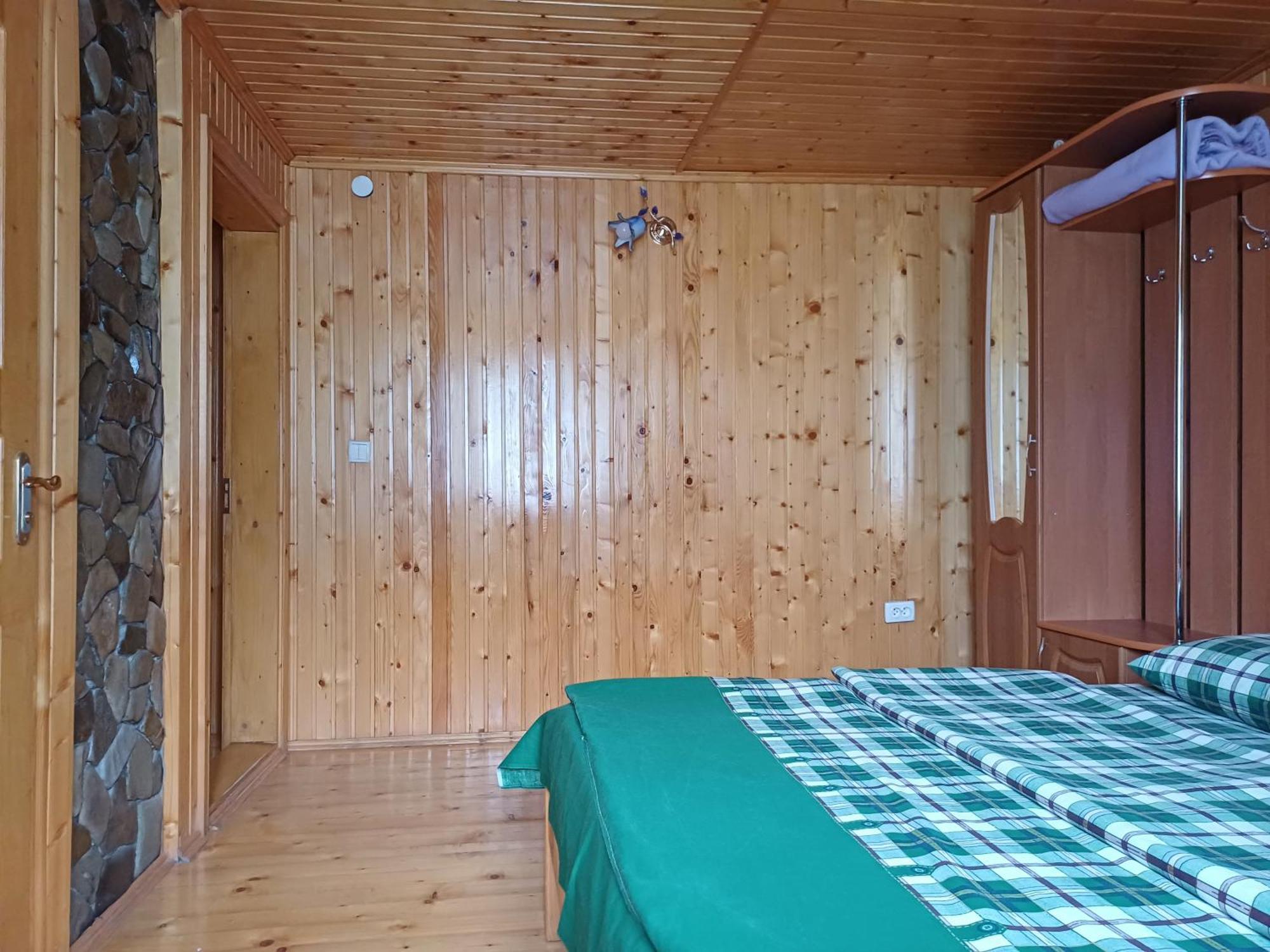 Green House Panorama Karpat ヴォロサンカ エクステリア 写真