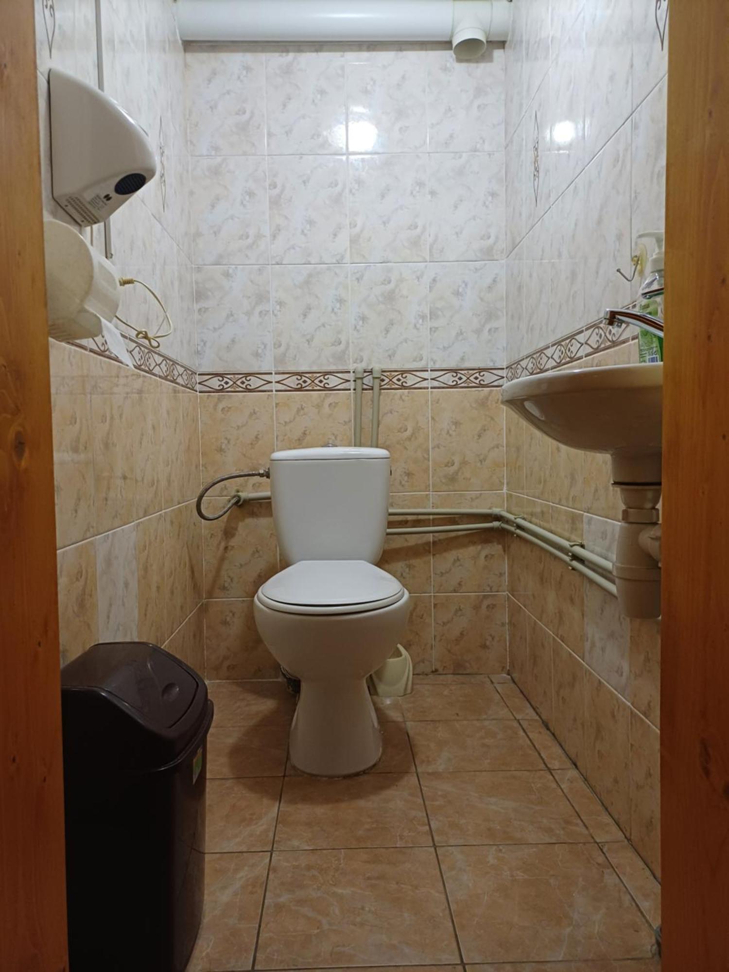 Green House Panorama Karpat ヴォロサンカ エクステリア 写真