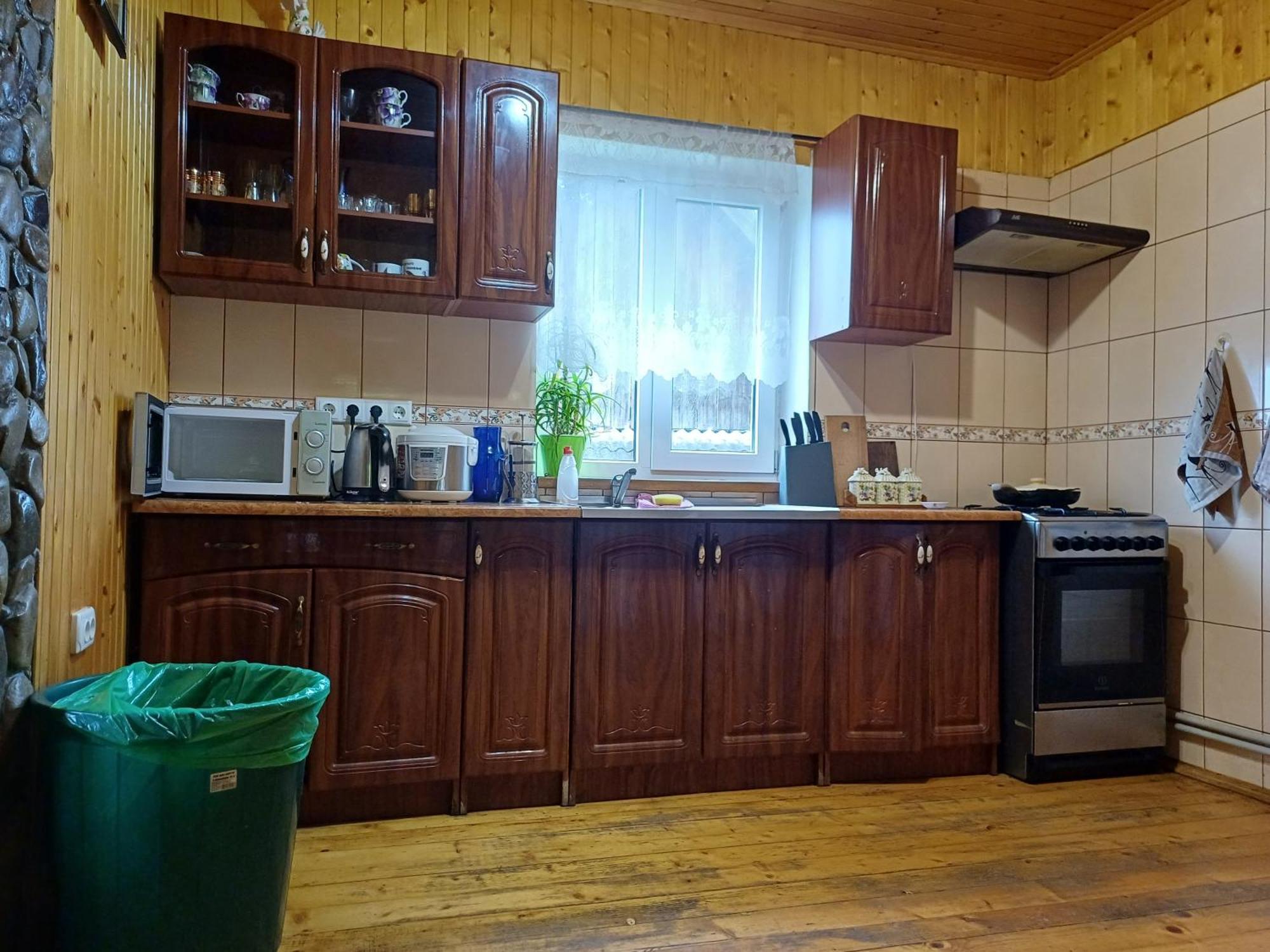 Green House Panorama Karpat ヴォロサンカ エクステリア 写真